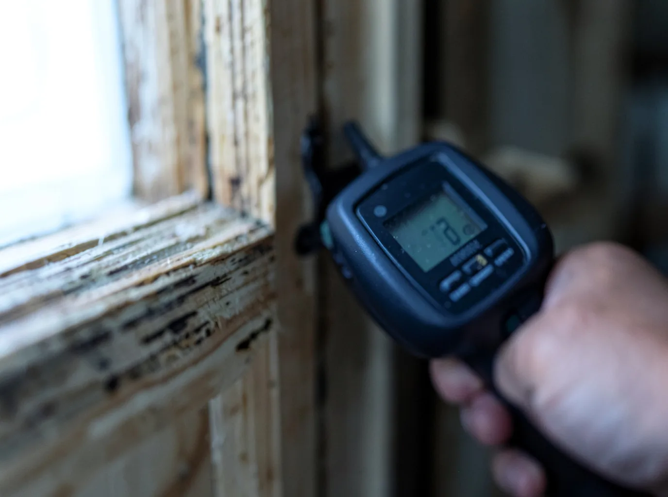 Moisture Inspection And Documentation in Brandon, VT